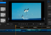 The Best Video Editors for Multi-Language Subtitles