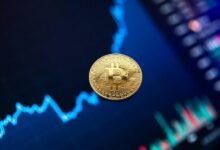 blockchain exploration and insights