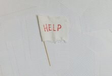 business support contact number